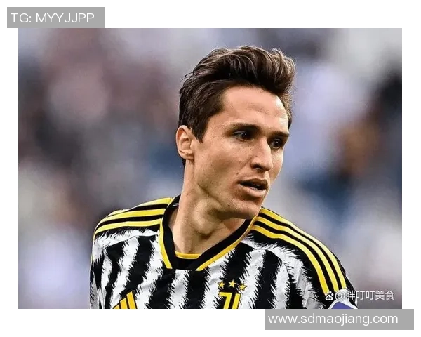 足球队球星维嘉个人简介与职业生涯成就全解析