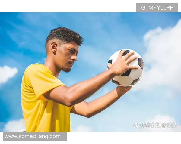 全球十大足球巨星风采展示 球场传奇人物引领足球潮流