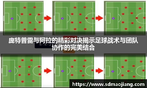 九游体育官网入口