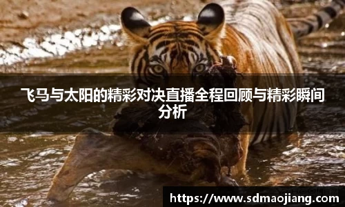 飞马与太阳的精彩对决直播全程回顾与精彩瞬间分析